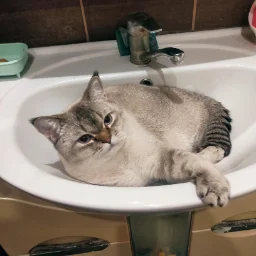 Tamtumverde