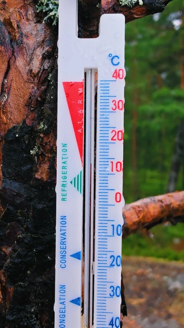 Journey through Karelia. Chapter 1: Ladoga Skerries. Part 4 - My, Skerries, Карелия, Ladoga, Lake, Alloy, Australian shepherd, Kayak, Rain, Beach, The rocks, Hike, Weather, Longpost