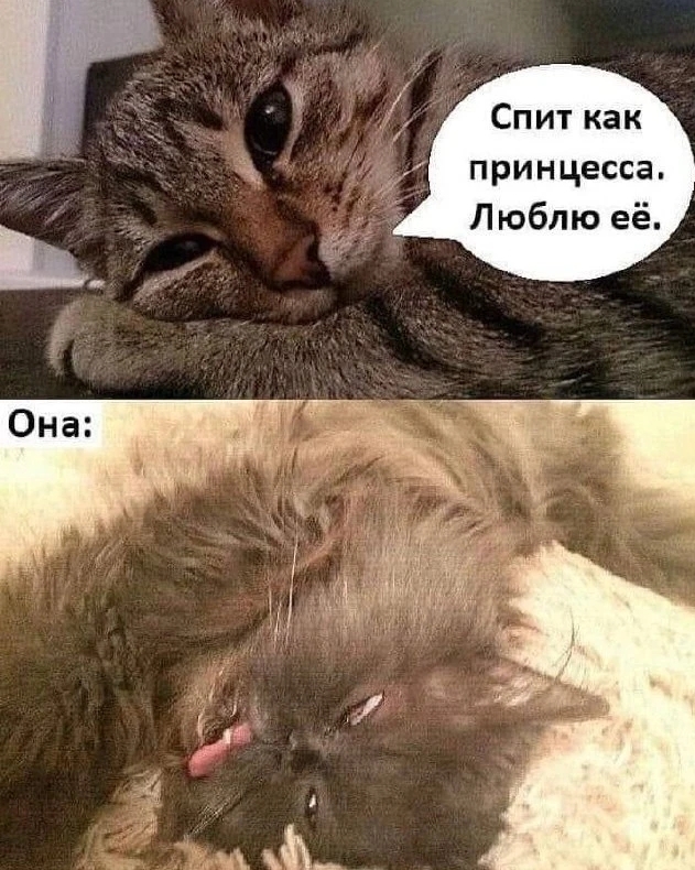 Пока она спит Пока она спит