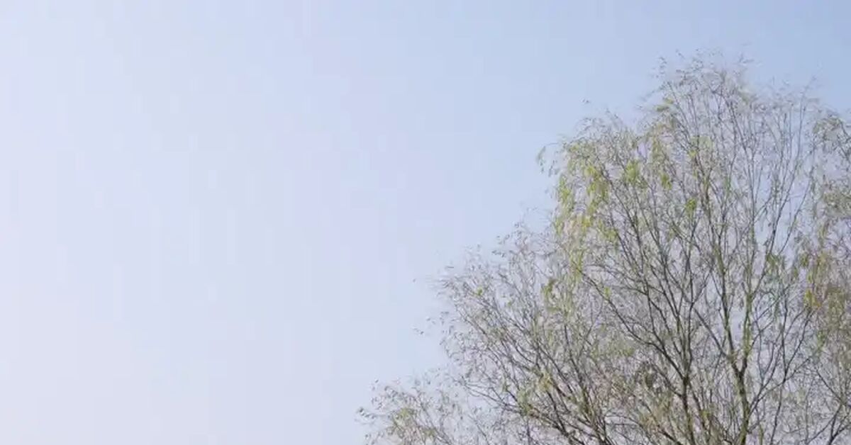 Continuation of the post Someone stop these Chinese already) - Series Tents, Humor, Unusual, Fishing, Reply to post, Fishermen, Tent, Video, Vertical video, Short videos