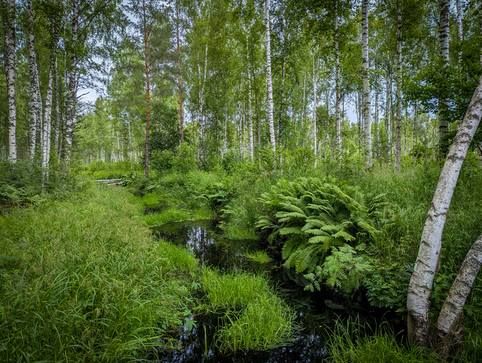 Ответ на пост «Покажите последнюю фотографию, которую вы сделали просто потому что вам было красиво»