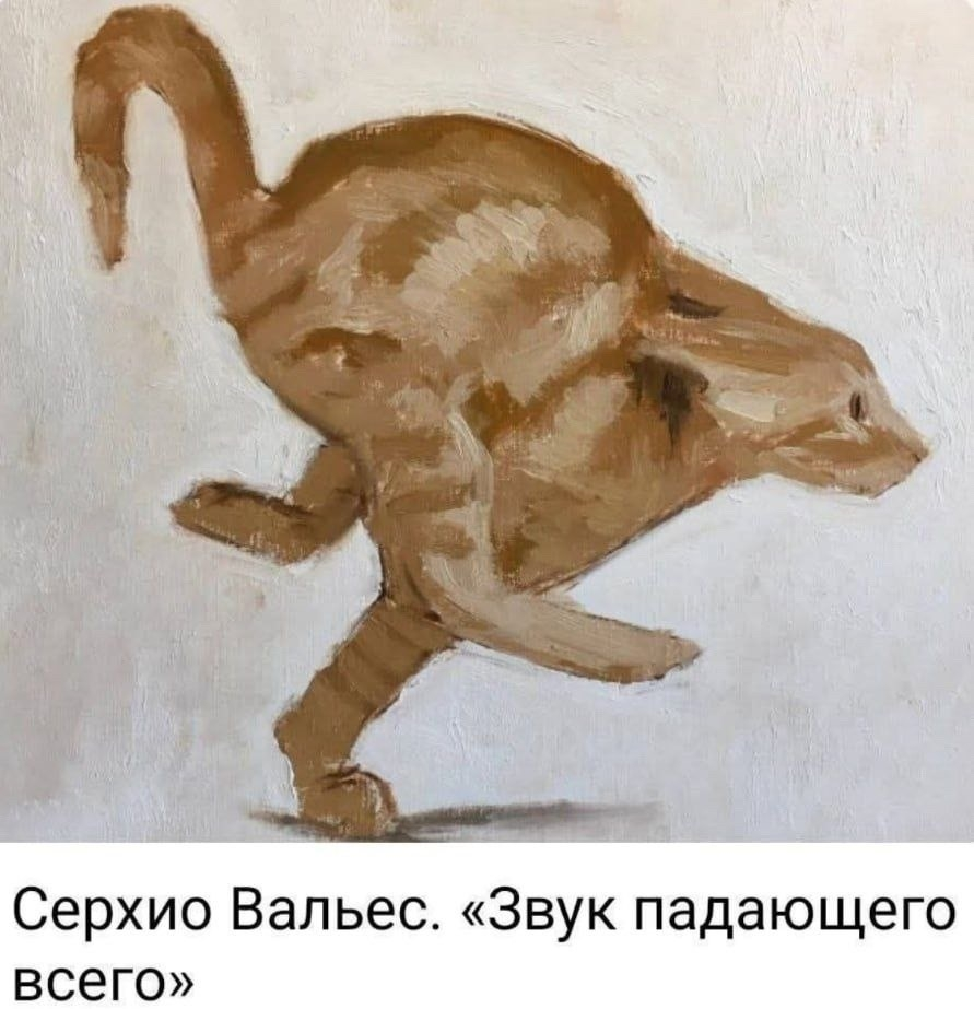 Cat - Picture with text, Art, cat
