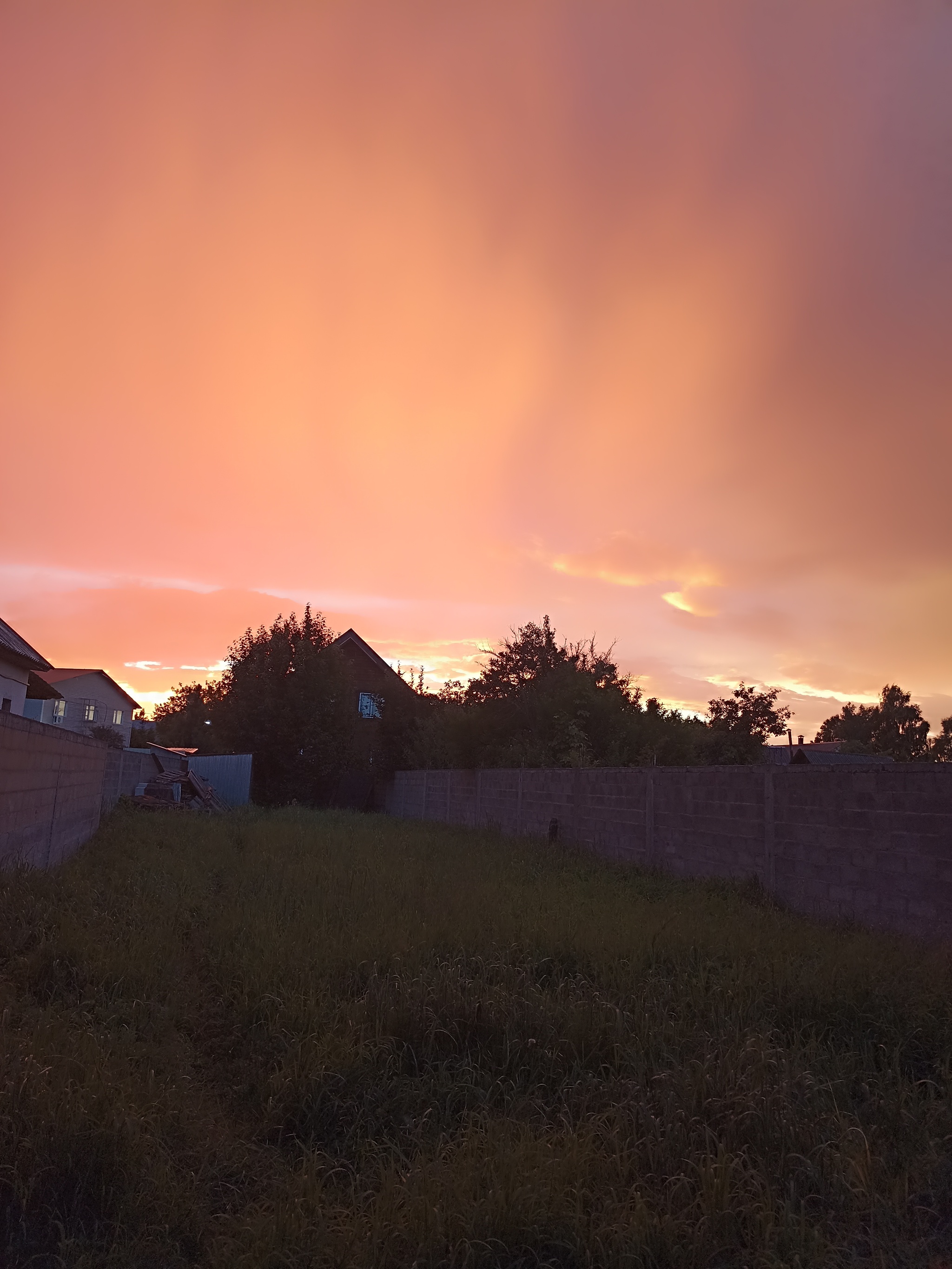 Reply to the post Show me the last photo you took just because you thought it was beautiful. - My, The photo, Mobile photography, A wave of posts, Reply to post, Longpost