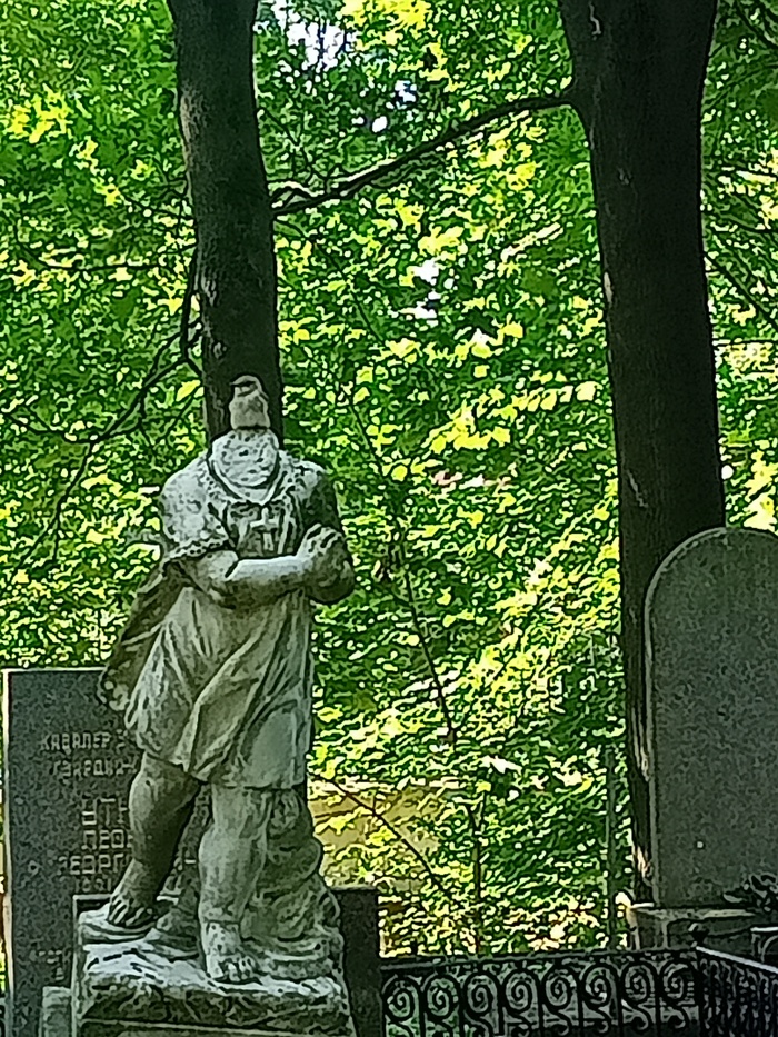 Голова воробей