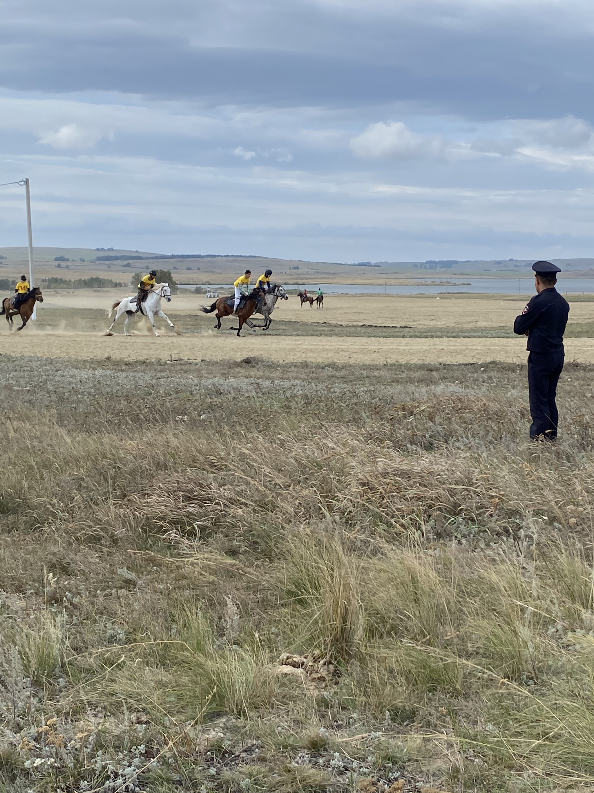 Grafskoye Reservoir - Bashkir steppe, horses and water surface - Series Reservoirs of Bashkortostan, My, Leisure, Water, Tourism, Bashkortostan, Lake, Longpost