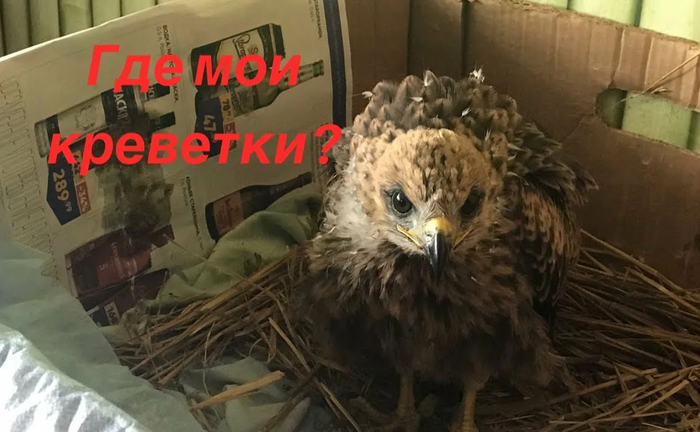 ������ ����� ���, ����� � ���� �������� ��������, � ������, ��� ��� � �����. � ���� ������ ����� ����� ������� �������. �� ����� ������ ����� ���� ��� �� ��������.