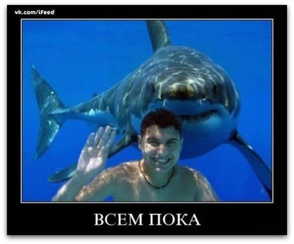 ����� rusalexey � ���� ����� ���� �����