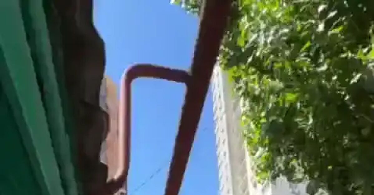 It's all due to idleness))) - Vertical video, Short videos, Internet, From the network, Hardened, The bot, Stock exchange, Video, Mat