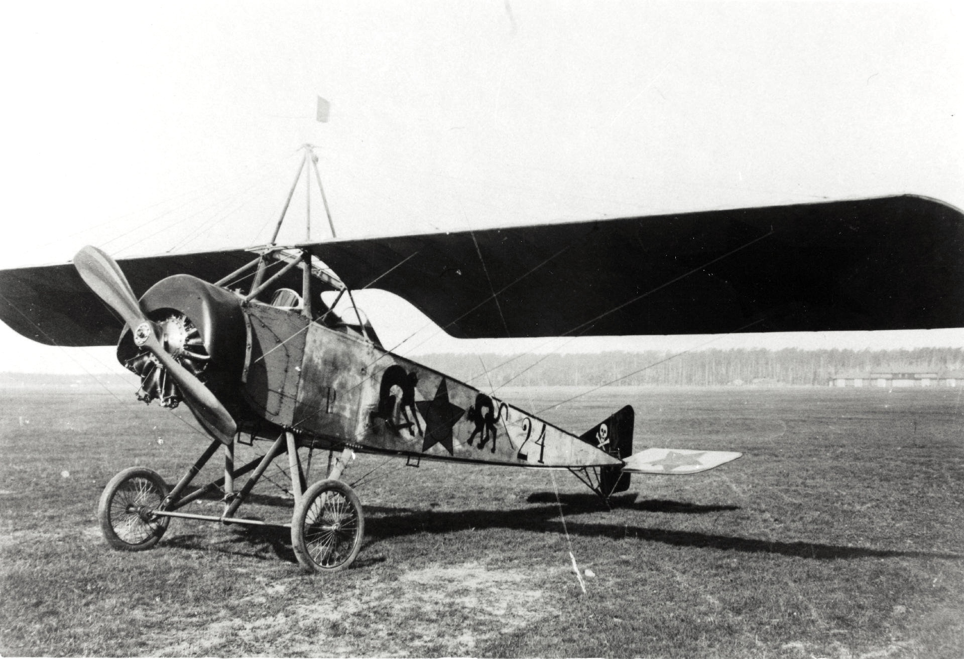 Morane L - Morane with cats - My, Aviation, Military aviation, Aircraft modeling, Stand modeling, Scale model, Longpost