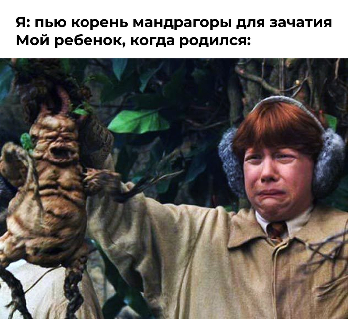 ����� ������ ��������������: ��� ������������ ������
