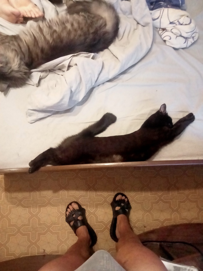 На волне PUmA