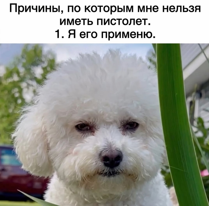 База