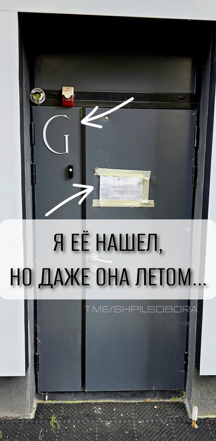 ������ ������ ����