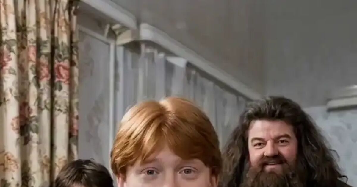 Harry Potter Alternate Ending: Ron and Hermione's Wedding - Humor, Funny, Harry Potter, Suddenly, Laughter (reaction), Prank, Artificial Intelligence, Neural Networks, Фанфик, Fun, The bot, Parody, Wedding, Drawing, Staging, Video, Vertical video, Short videos, Telegram (link), MAX messenger (link)