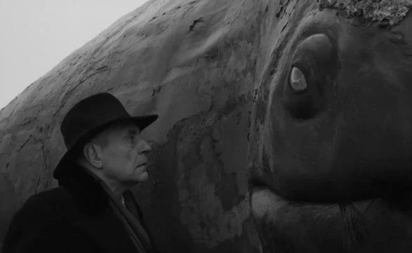 Werckmeister harmoniak (2000) dir. Bela Tarr - My, Philosophy, A life, Personality, Thoughts, Internal dialogue, Movies, Reality, Wisdom, Arthouse, Cinema, Reasoning, Truth, Consciousness, People, Review, Movie review, Looking for a movie
