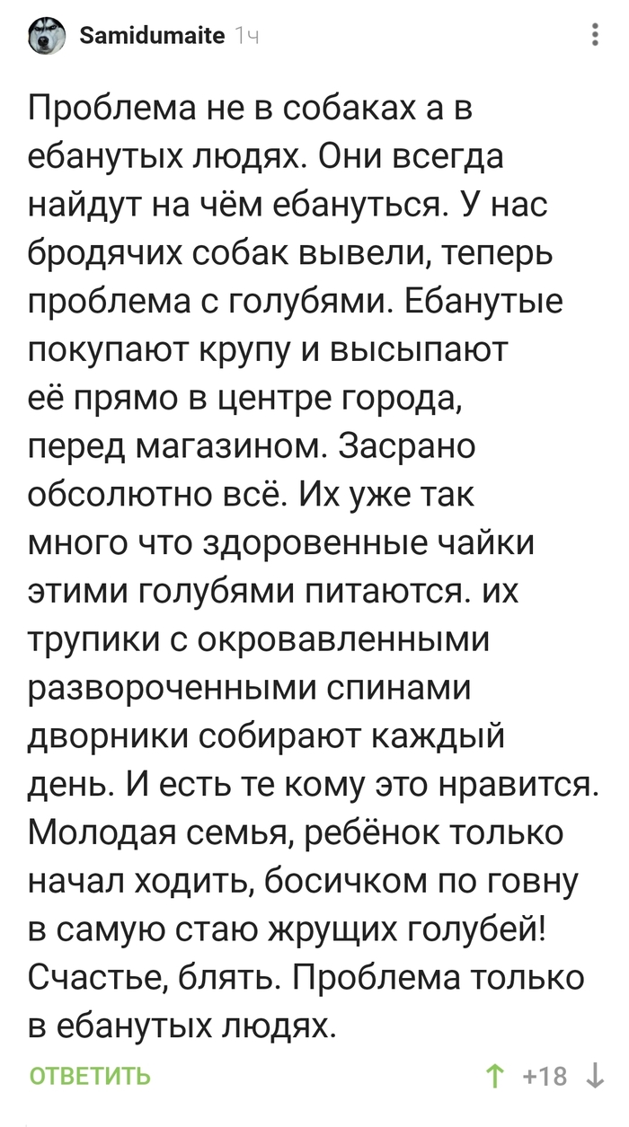 Не собаки, так голуби?