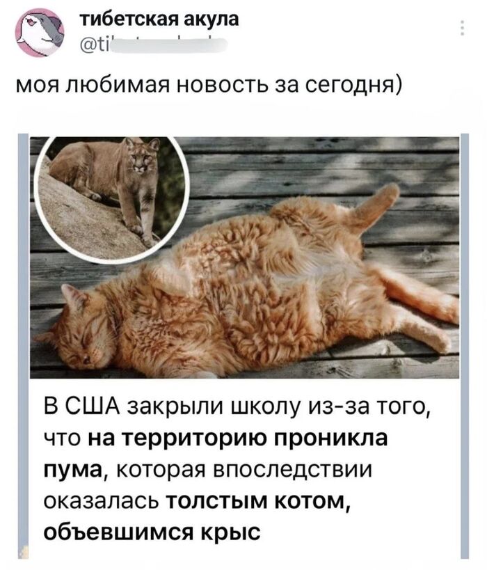 Новость