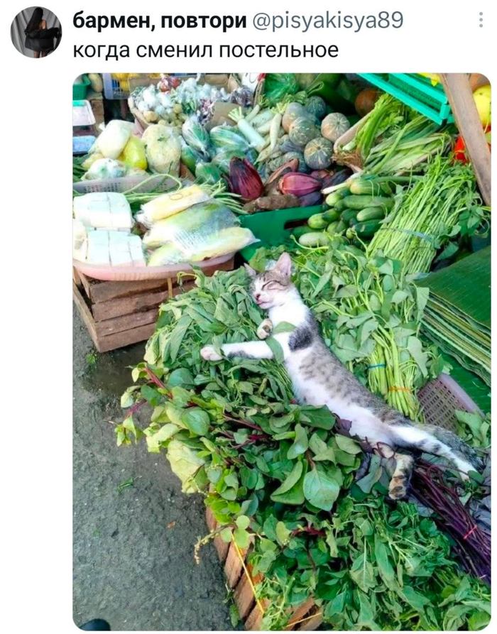 �� ��������� � �������� ������