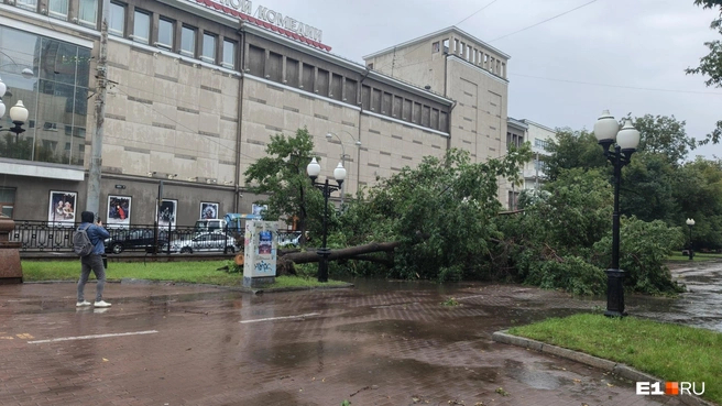 Источник: читатель <!--noindex--><a href="https://pikabu.ru/story/yeto_apokalipsis_vsem_v_ukryitie_moshchnyiy_uragan_proshelsya_po_ekaterinburgu_14154357?u=http%3A%2F%2FE1.RU&t=E1.RU&h=d14cb2f4849bc246a517d6332b909846dc263a36" title="http://E1.RU" target="_blank" rel="nofollow noopener">E1.RU</a><!--/noindex-->
