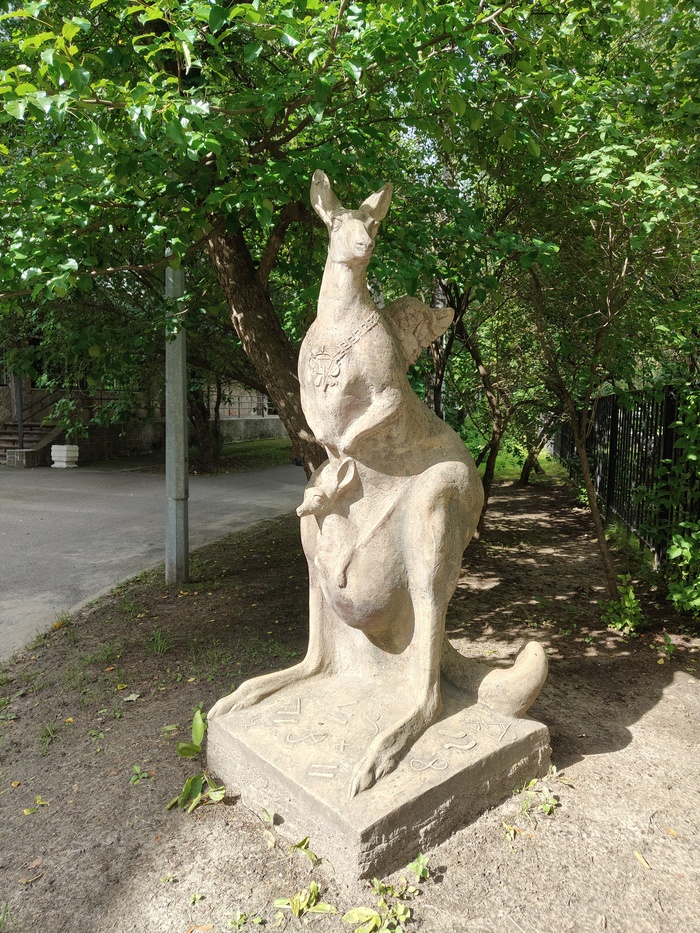 "Кенгуру с крылышками"
