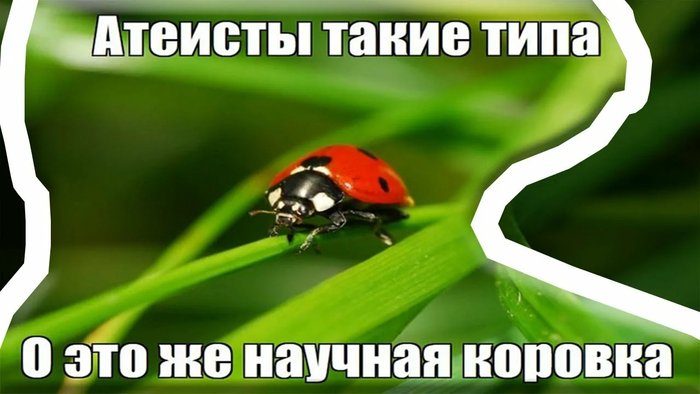 Вера