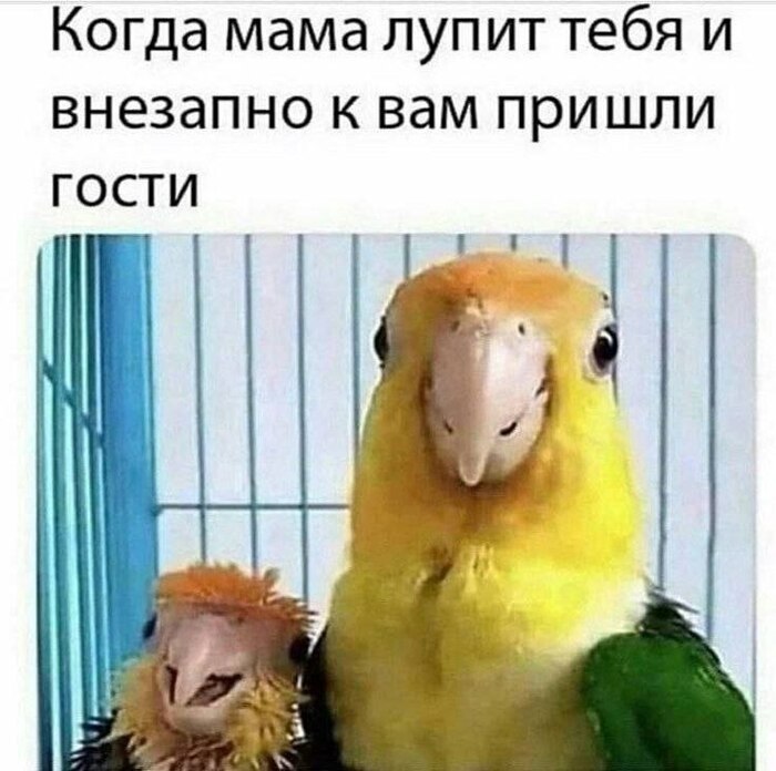 Неожиданно