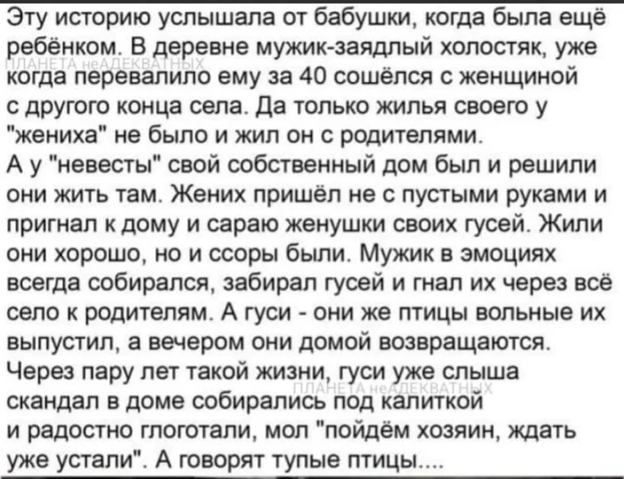 citrfn2w.webp