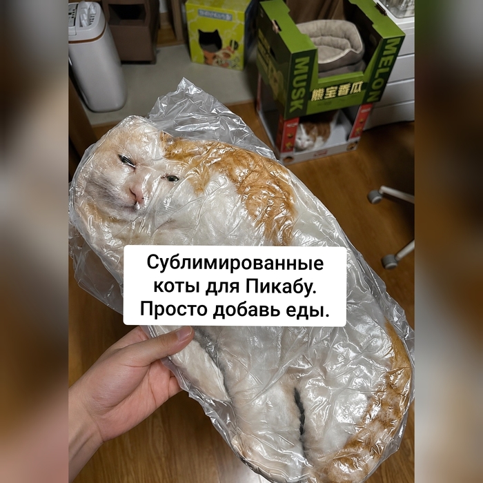 Сублимат
