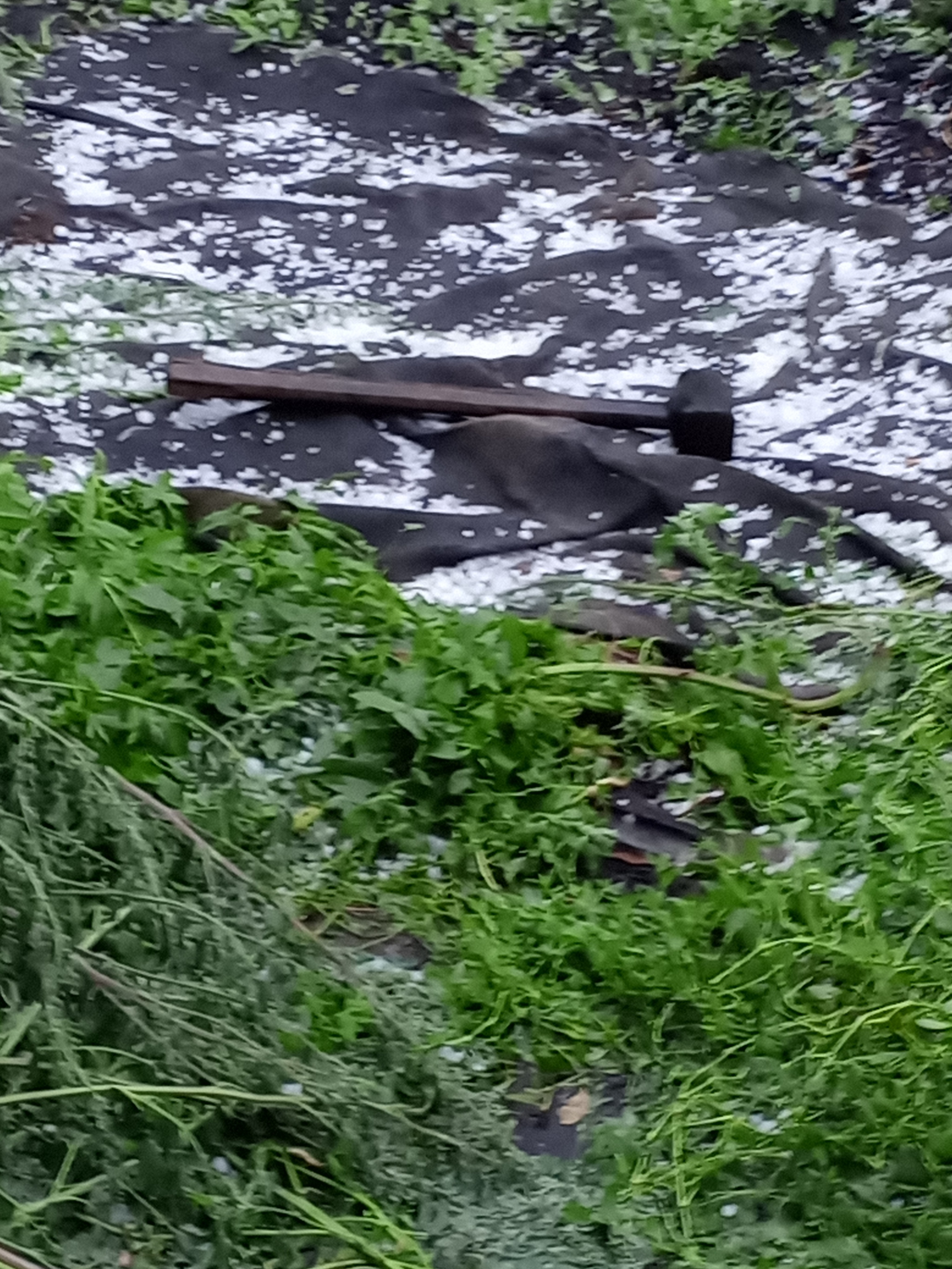 Hail in the Kemerovo region - My, Hail, Ministry of Emergency Situations, Corruption, Longpost