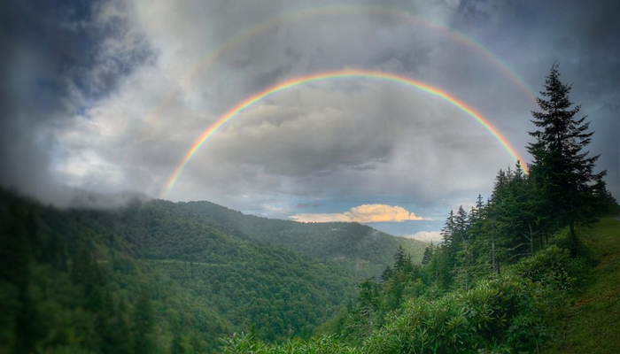 Rainbow
