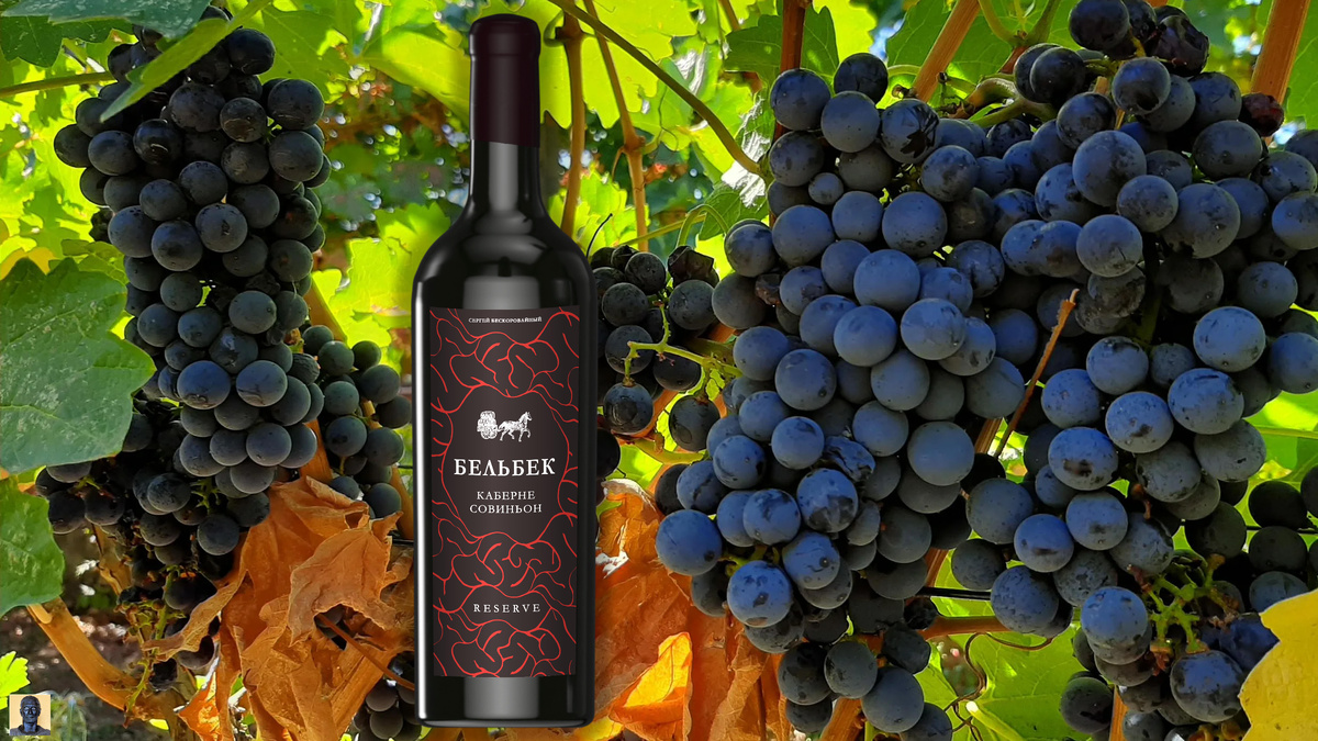 Top 5 Russian Dry Red Wines of 2025: Roskachestvo Expert Rating - My, Wine, Russian wine, Longpost