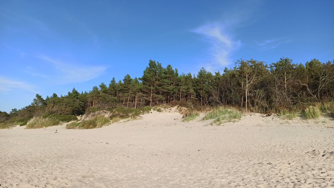 And about the weather in Kaliningrad - Series Kaliningrad and the region, My, Weather, Summer, Sea, The sun, Beach, Sand, Pine, Kaliningrad, Kaliningrad region, Baltic Sea, Cities of Russia, Travels, Dacha, sights, Longpost