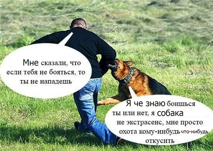 ����� ������, ������ ������������� ��������� ����� ������ � �������, �� ���� �����.