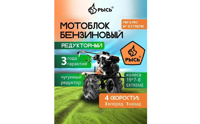 ���������� ������� �������� ���� ��� 8 ��� � �������� ������� � �������.