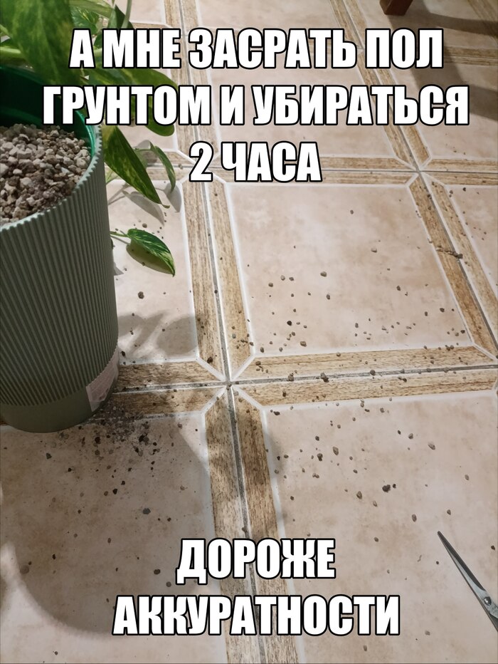Использовать коврик для пересадки или быть счастливым?...
