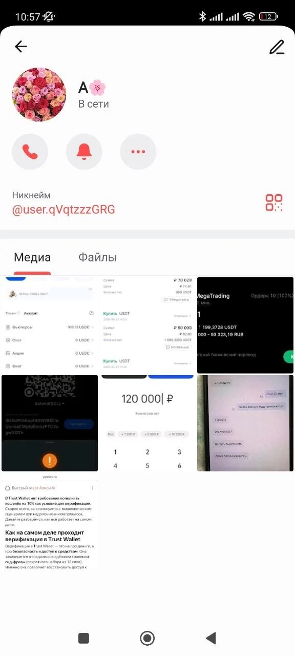 BEWARE OF SCAMMERS!!! - Fraud, Internet Scammers, Phone scammers, Telegram (link), Longpost, Negative