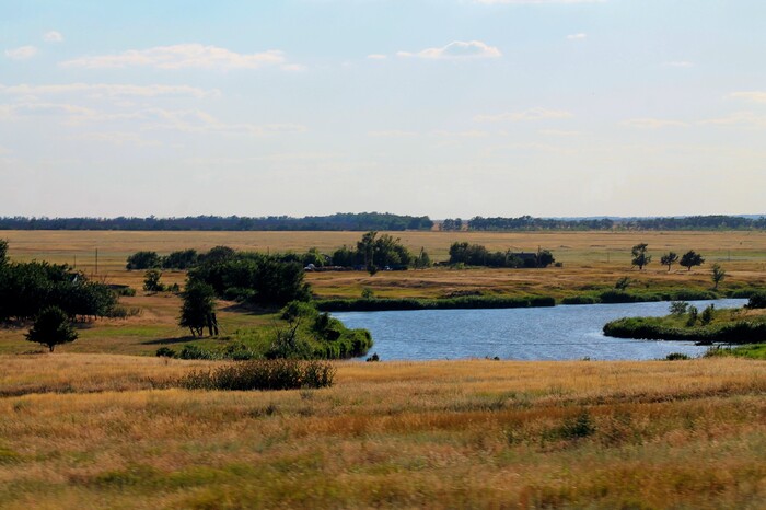 Летняя картинка