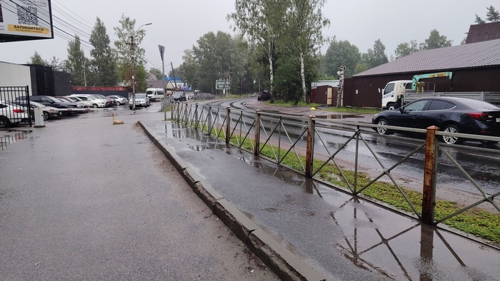 Питер. Середина лета