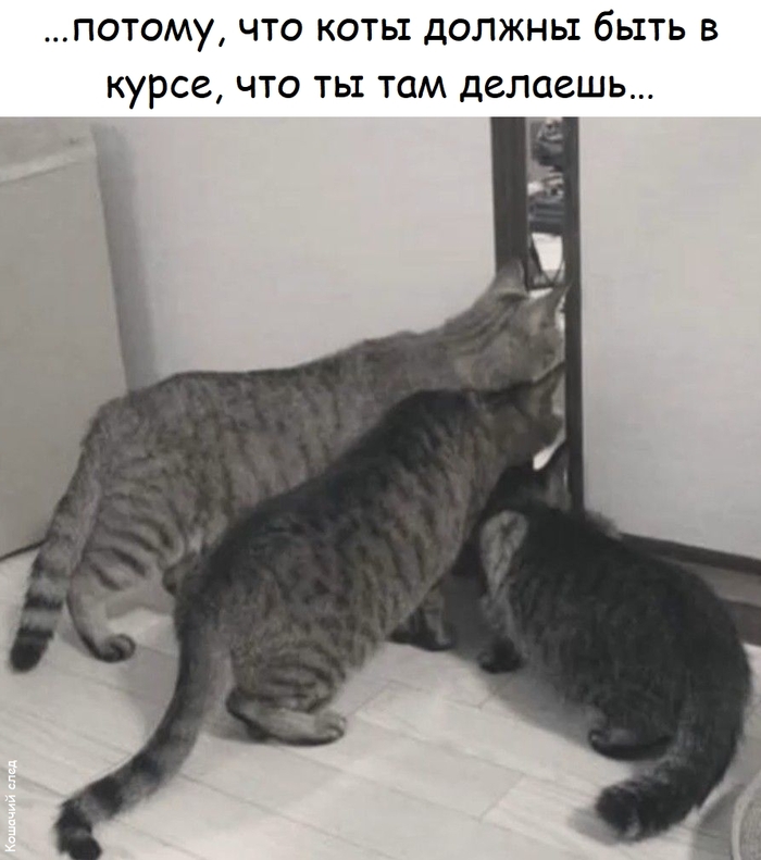 �������� ��, ��� ������
