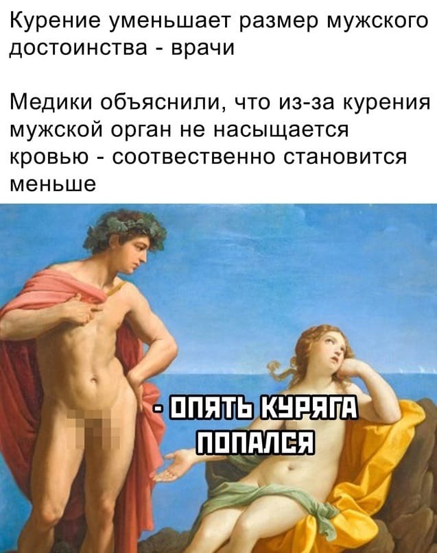Детородный орган