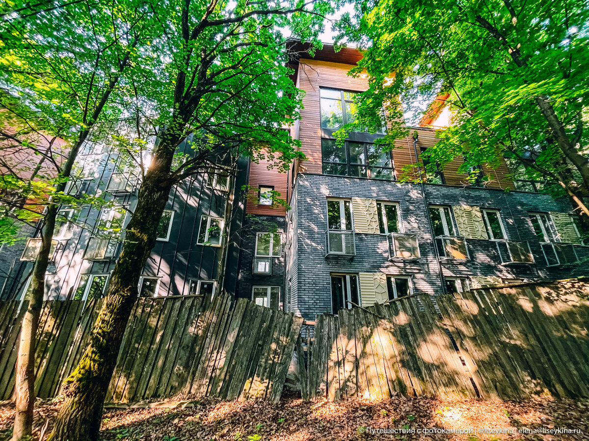 Millions in debt, no housing: an abandoned village in a nature reserve - Village, Reserves and sanctuaries, Travel across Russia, Abandoned, The nature of Russia, Zen, Yandex Zen, Yandex Zen (link), Longpost
