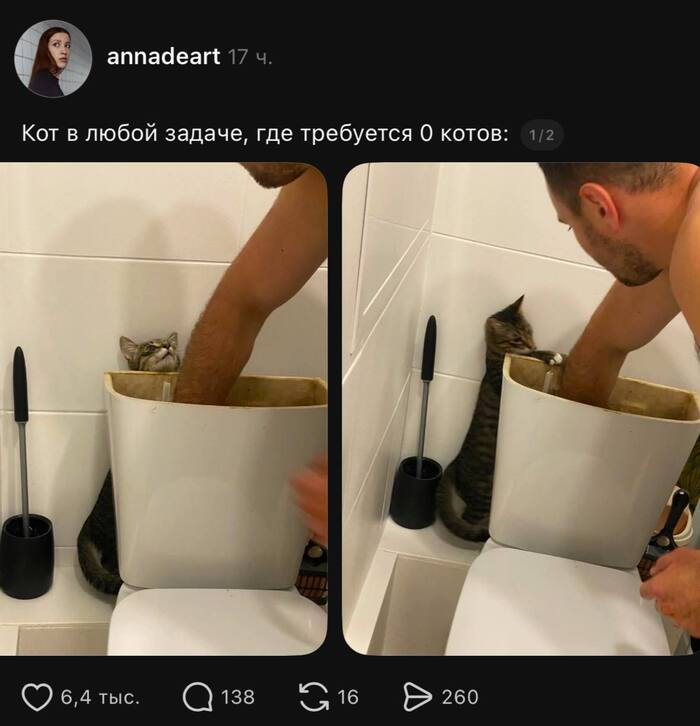 Нет такой задачи, где требуется 0 котов))