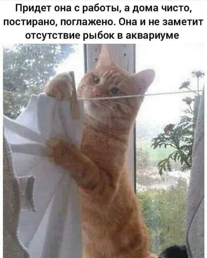 ��� ����? ������