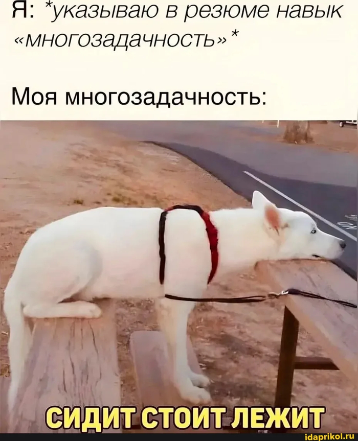 ������ ��������������� �� ����������