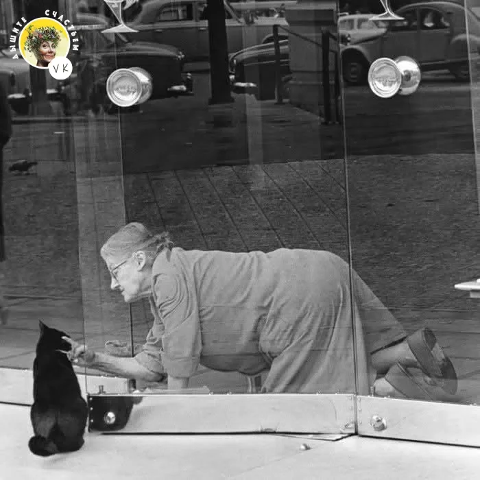Cat and Grandma - Series Interesting in VK, Author's story, Georgia, cat, Kindness, Grandmother, Happiness