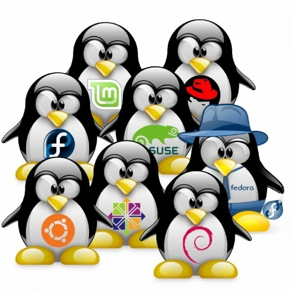 The Long Road to Linux - My, Linux, Mandrake, History, IT, Longpost