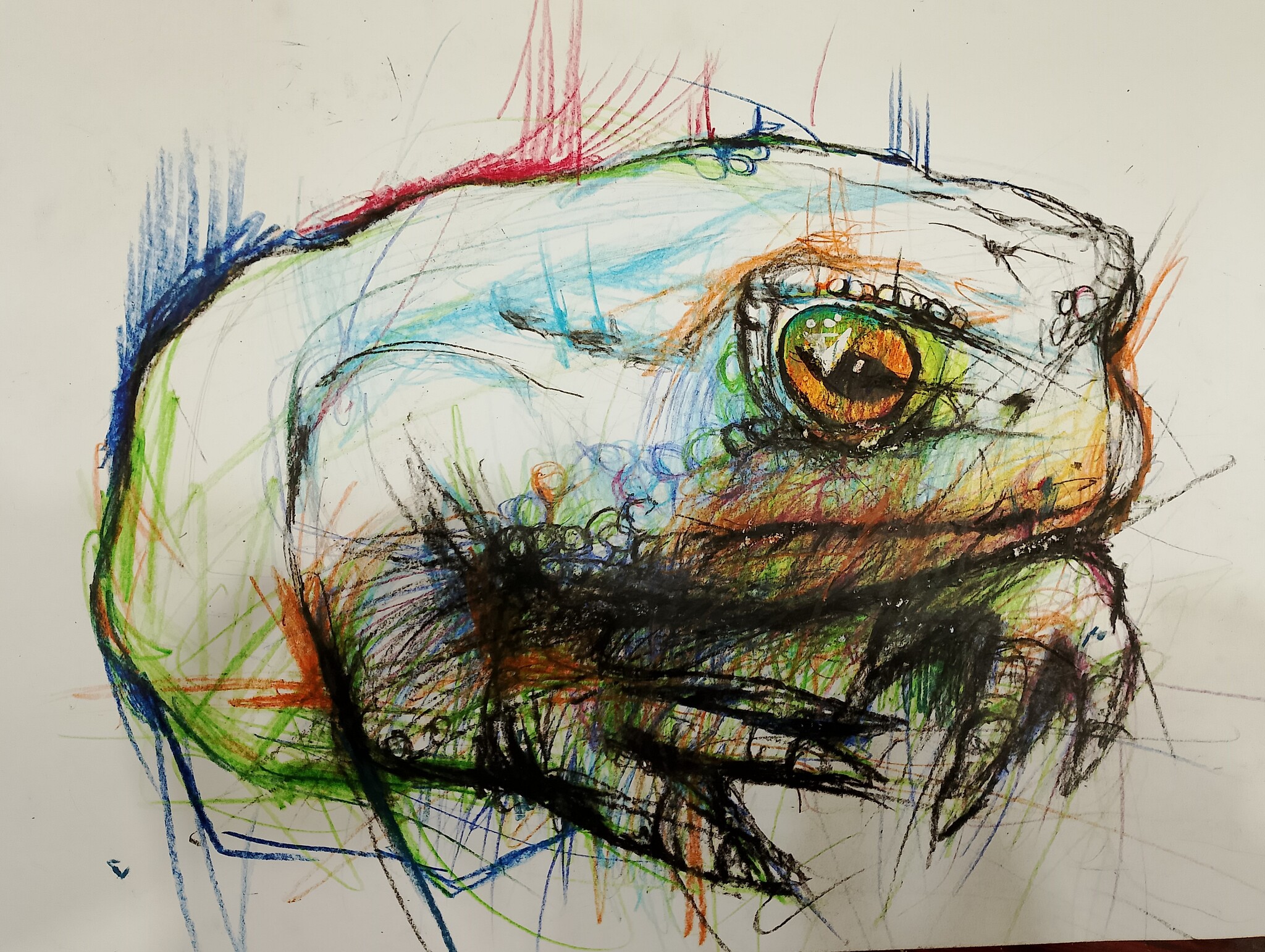 Drawing - My, Drawing, Graphics, Animals, Creation, Animalistics, Colour pencils
