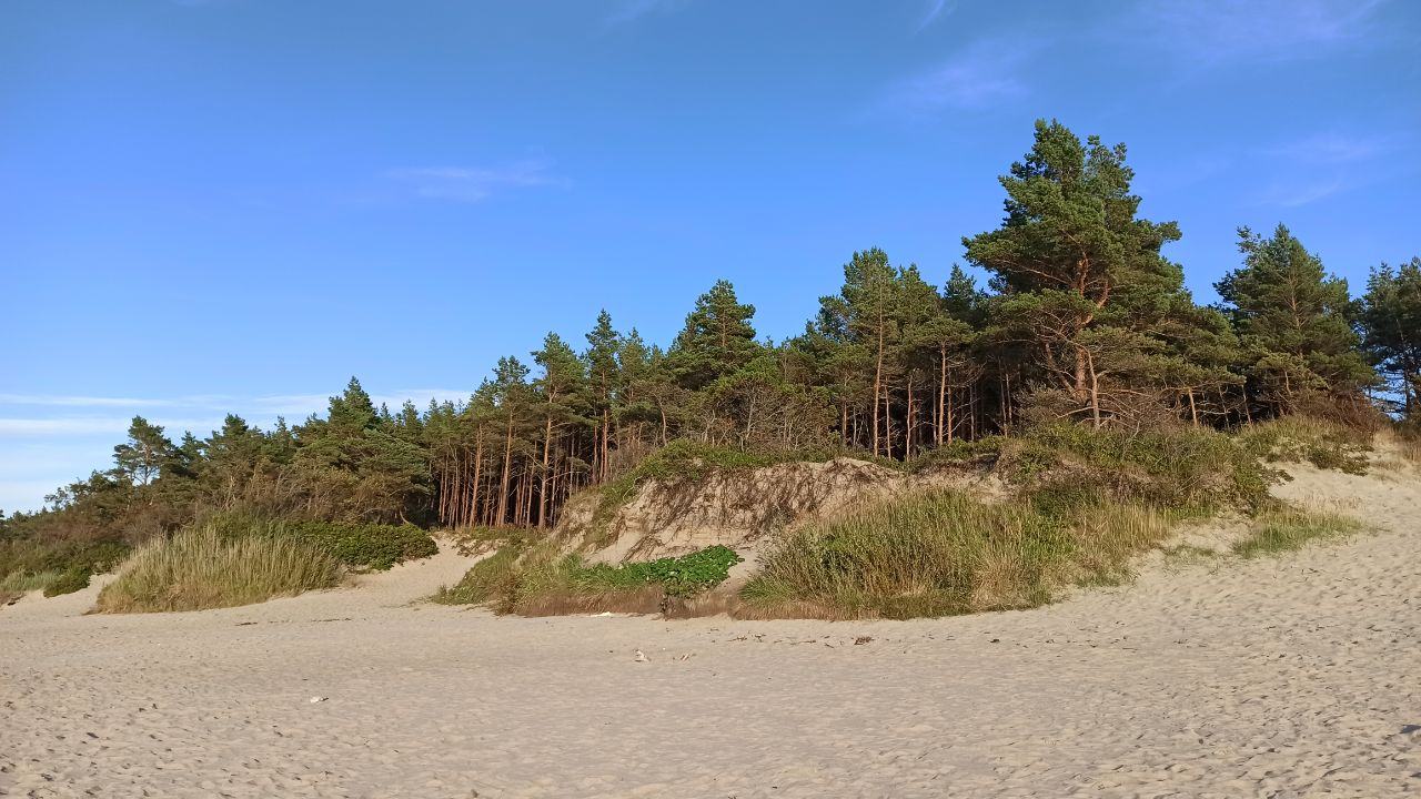 Let's end the work week right - My, A life, Sea, Evening, Beach, Kaliningrad region, Kaliningrad, Zelenogradsk, Cities of Russia, Relaxation, Recovery, Baltic Sea, Road, Fork, Russia, Pine, Sand, Longpost