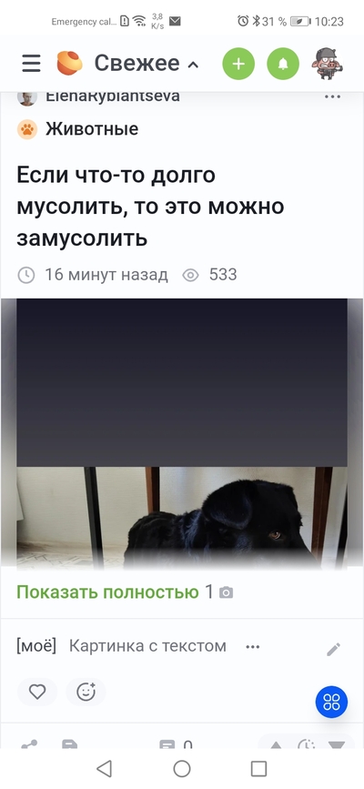 ����������� � �����������