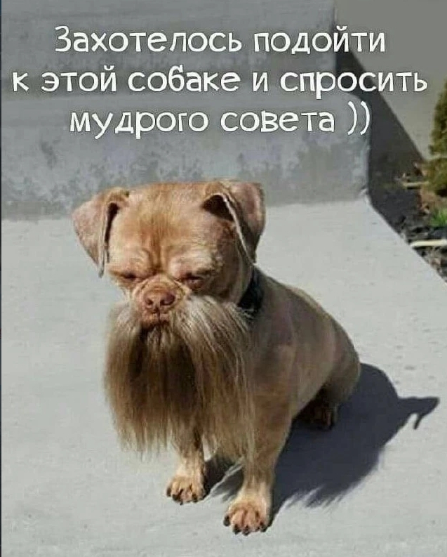 ������